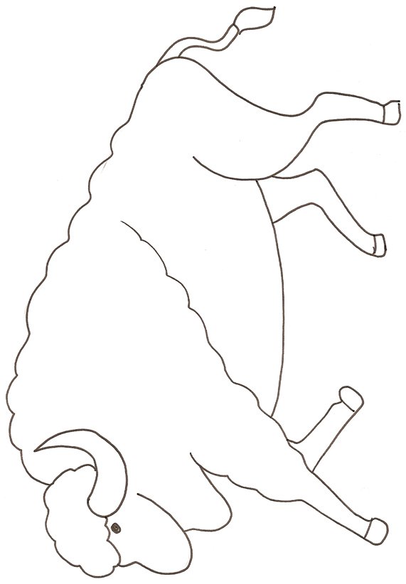 coloriage d'un bison
