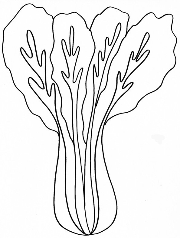 coloriage d'une blette
