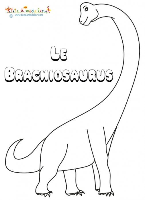 Le brachiosaurus, un dinosaure à colorier