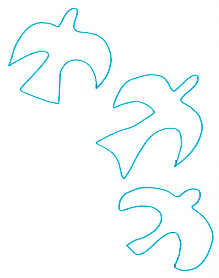 oiseau braque
