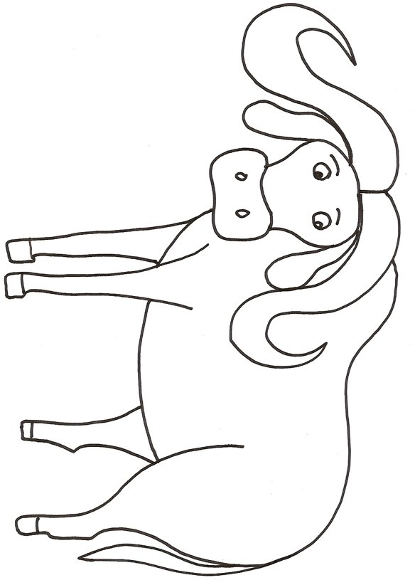 coloriage d'un buffle 
