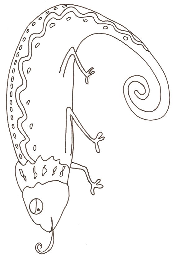 coloriage d'un cameleon 2
