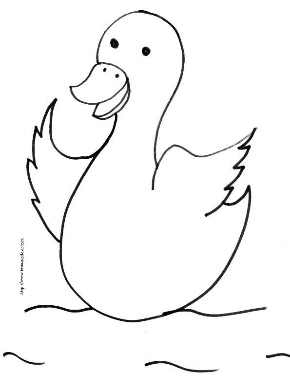 coloriage d'un canard de la ferme 2 

