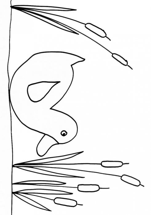 coloriage d'un canard dans les roseaux