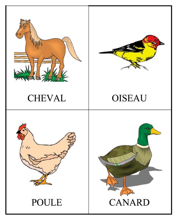 Fiche jeu imiter un animal avec b&eacute;b&eacute;
