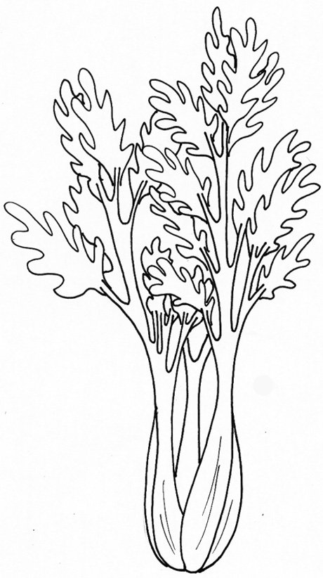 coloriage d'un pied de c&eacute;leris
