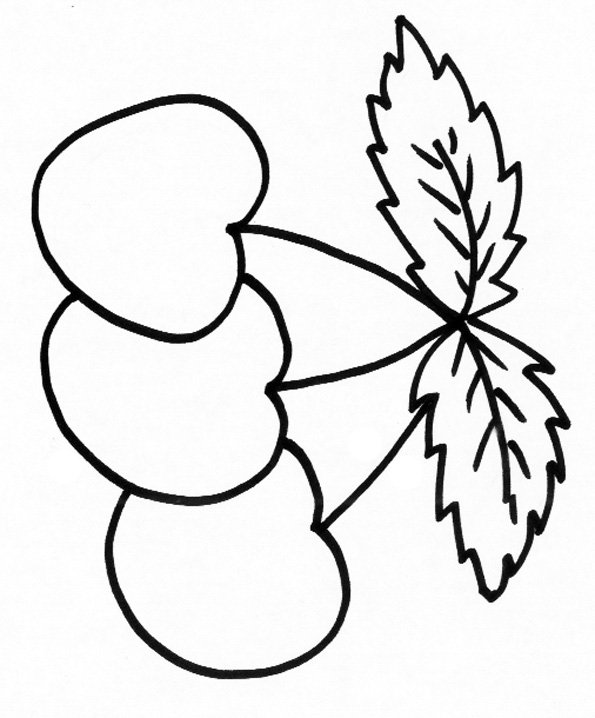coloriage de trois cerises
