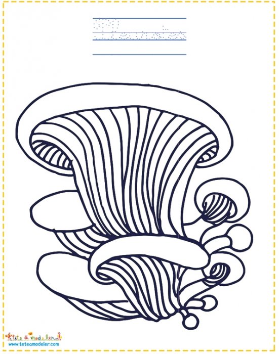 Pleurotes à colorier