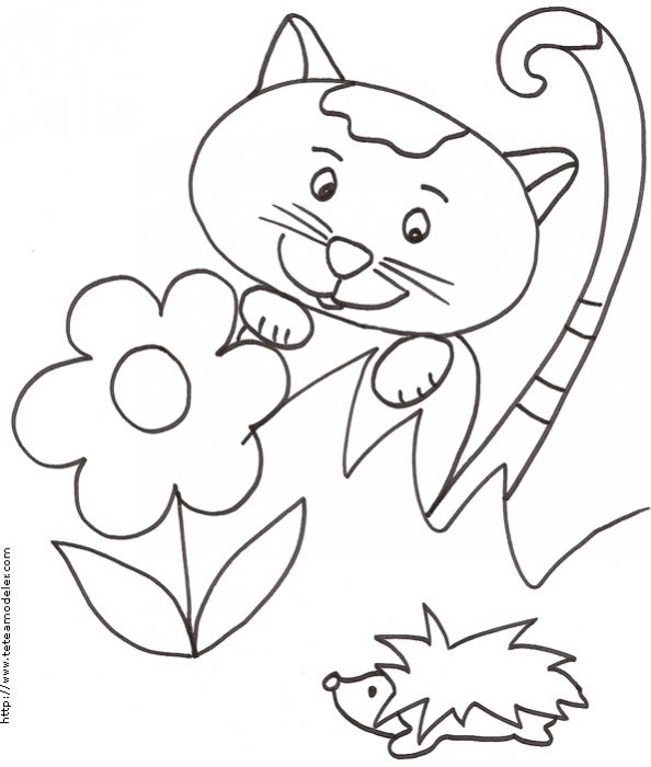 Coloriage enfant : Coloriage du chat tache