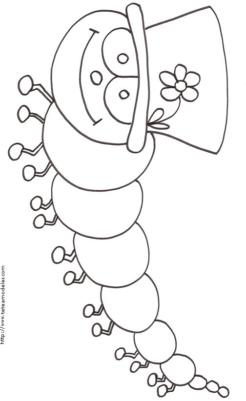 Imprimer le coloriage de la chenille au chapeau
