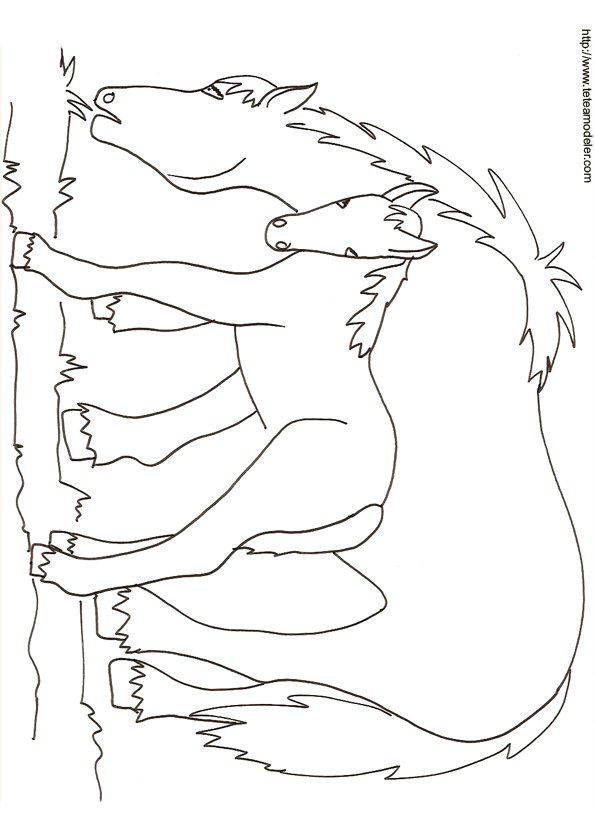 coloriage cheval
