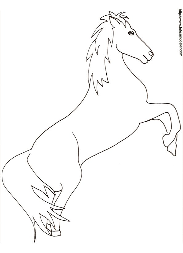 coloriage cheval
