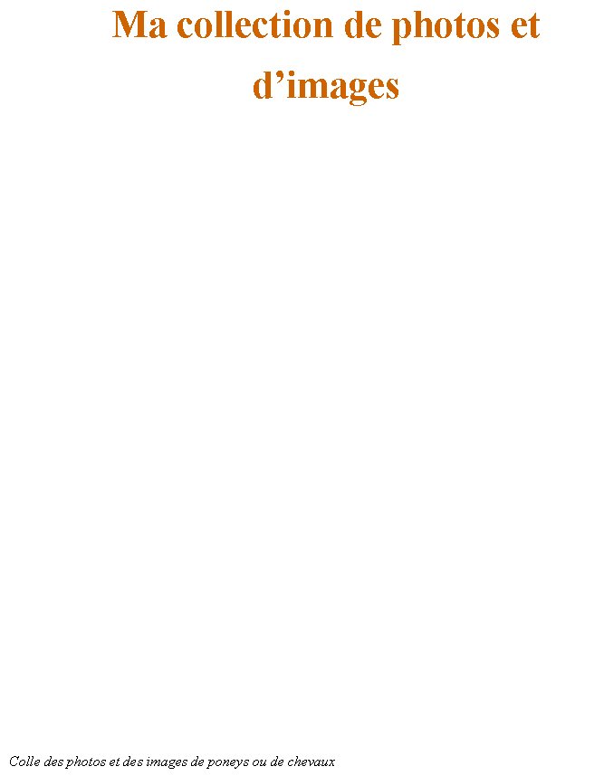 livre sur le cheval et les poneys 13
