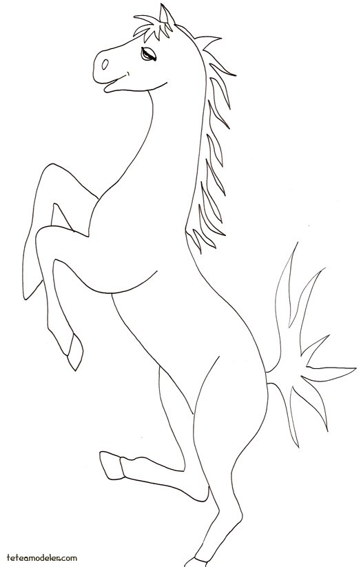 coloriage cheval
