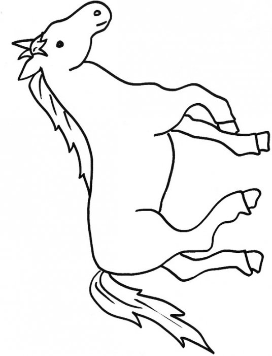 coloriage d'un cheval 4
