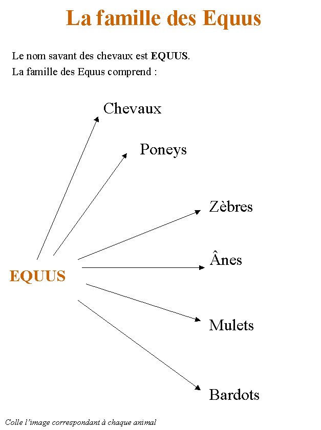 livre sur le cheval et les poneys 2
