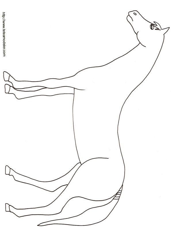 coloriage cheval
