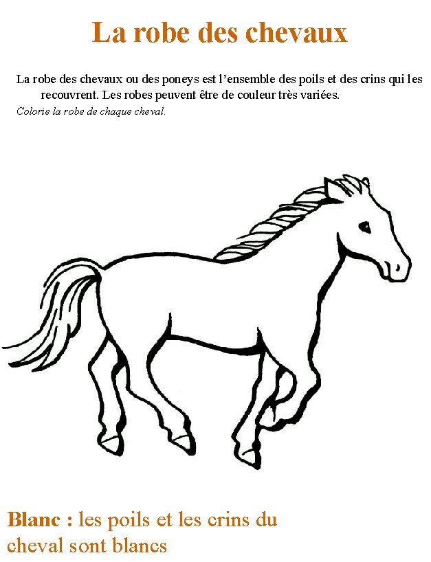 livre sur le cheval et les poneys 5
