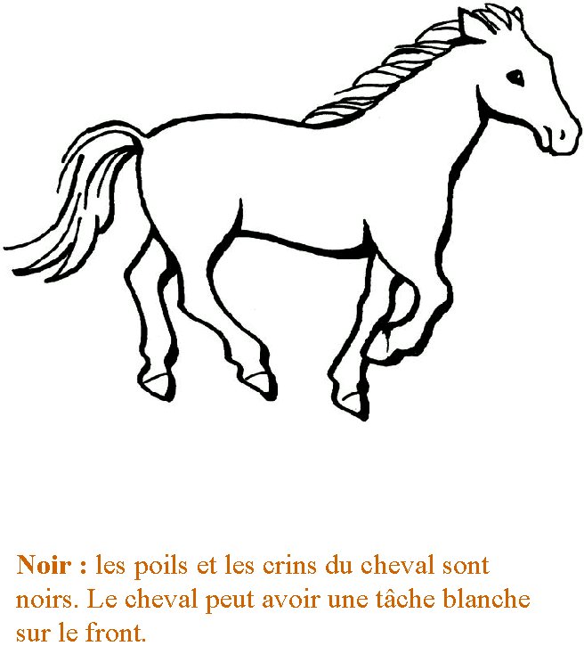 livre sur le cheval et les poneys 6
