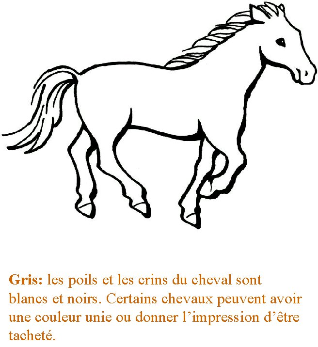 livre sur le cheval et les poneys 8

