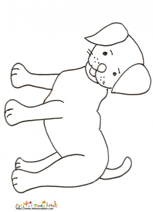 Coloriage petit chien sur ses 4 pattes