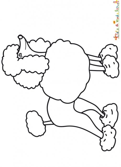 Coloriage d'un grand caniche