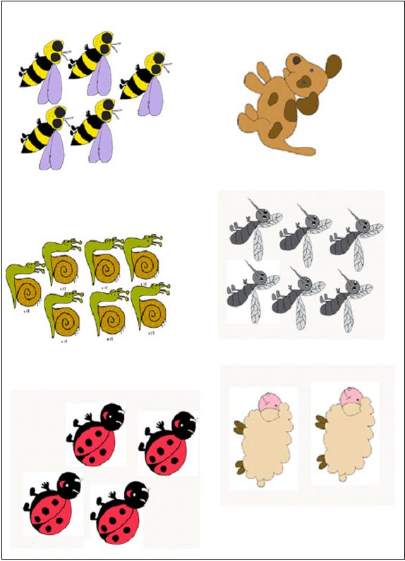 Premier livre de chiffres planche visuels
