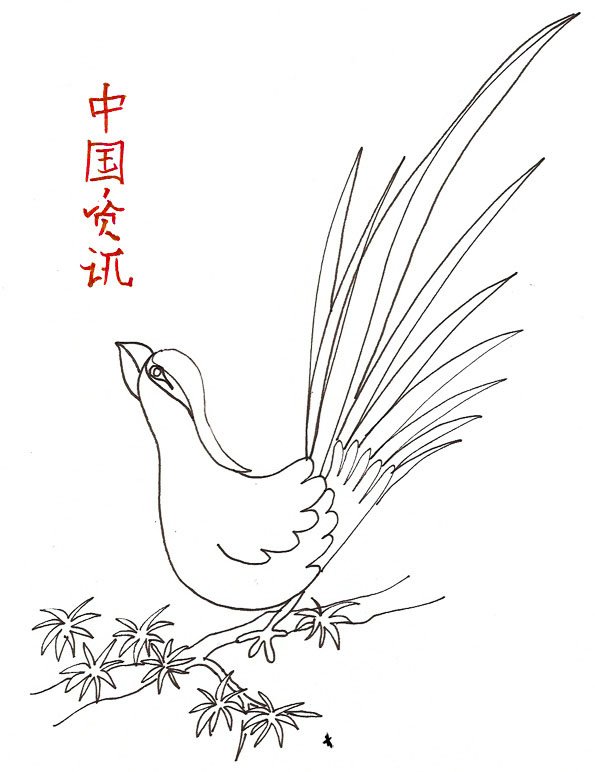 L'oiseau sur sa branche
