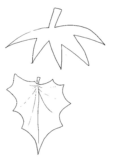 Imprimer le modèle de citrouille géante d' Halloween