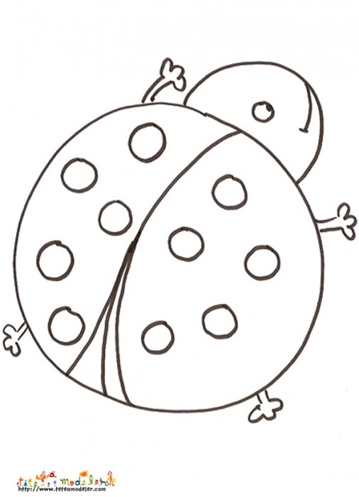 Coloriage grosse coccinelle