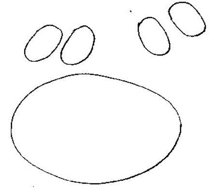 Mod&egrave;le pour tableau cochon 2
