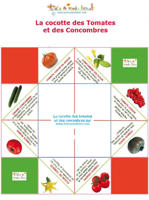 Cocotte en papier de la tomate