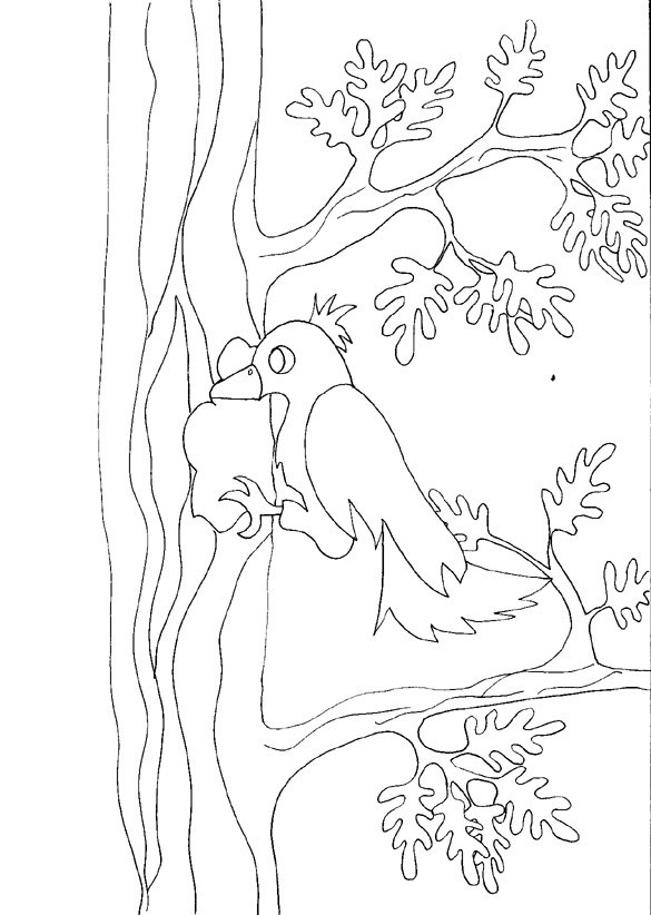 Coloriage de pivert
