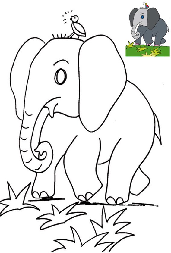 coloriage &eacute;l&eacute;phant avec mod&egrave;le
