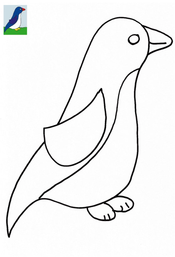 coloriage avec mod&egrave;le oiseau bleu
