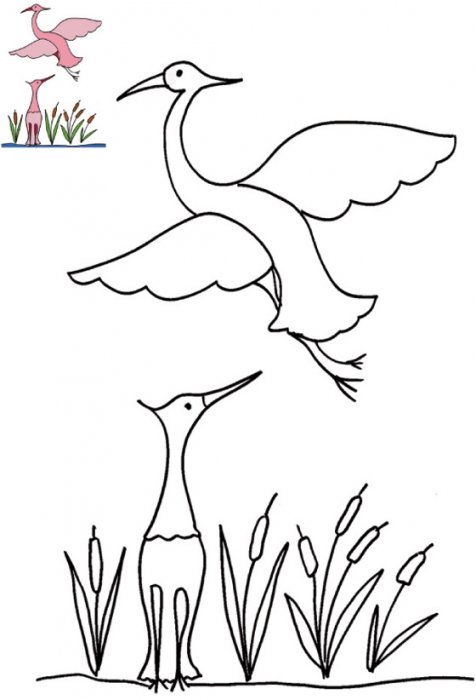 Imprimer le coloriage grues avec mod&egrave;le
