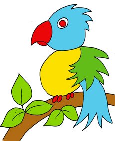 Voir le mod&egrave;le du petit perroquet colori&eacute;