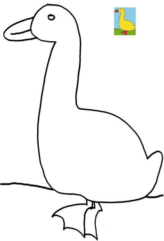 coloriage avec mod&egrave;le grand canard
