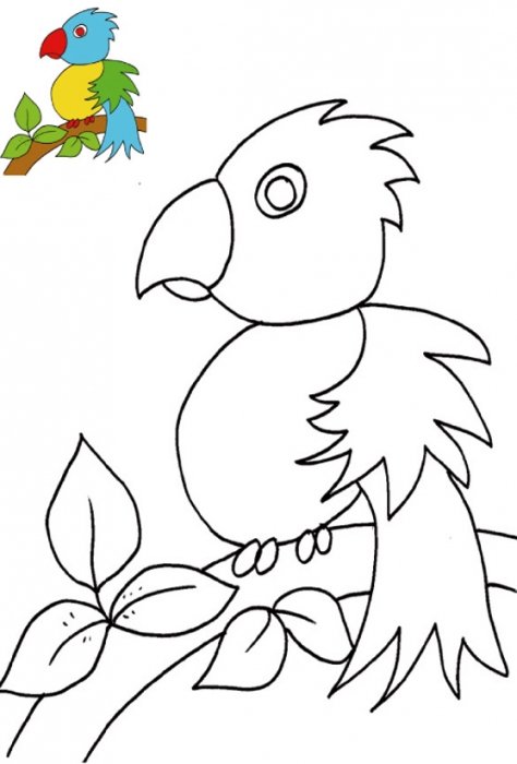 Imprimer le coloriage perroquet avec mod&egrave;le
