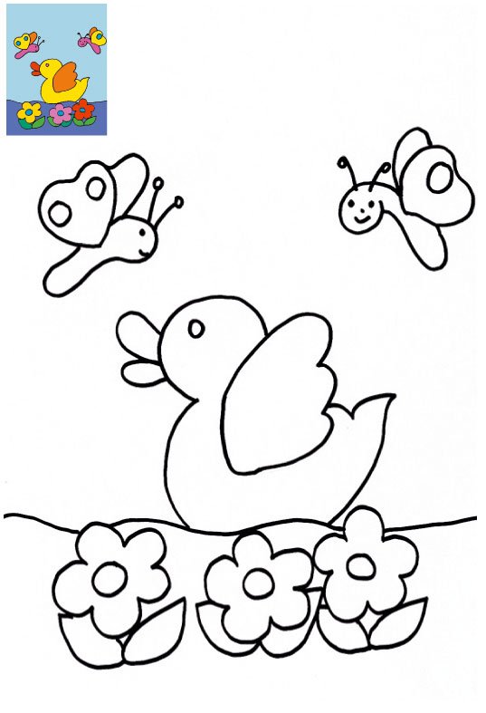 coloriage avec mod&egrave;le canard
