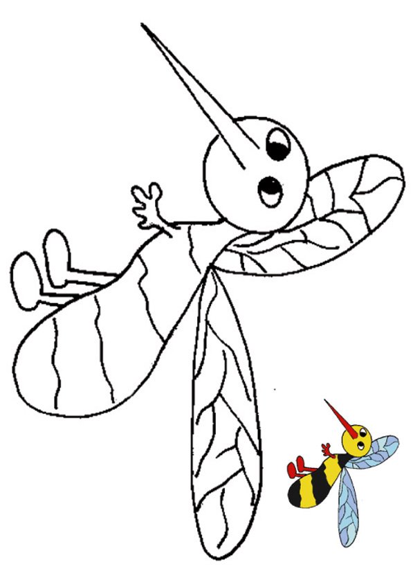 coloriage moustique avec mod&egrave;le b&eacute;b&eacute;
