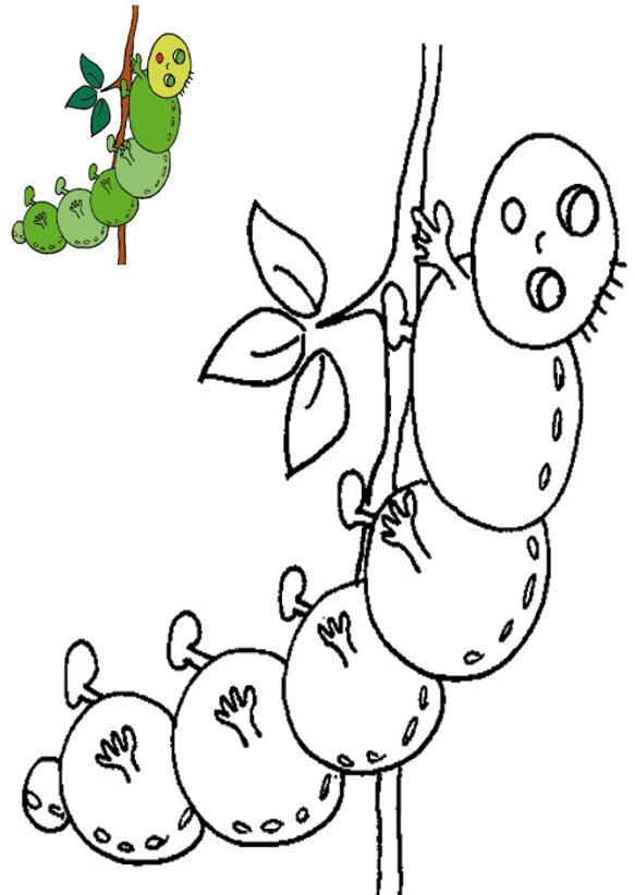 coloriage chenille avec mod&egrave;le b&eacute;b&eacute;
