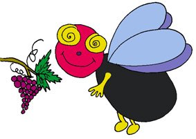 dr&ocirc;le mouche colori&eacute;e
