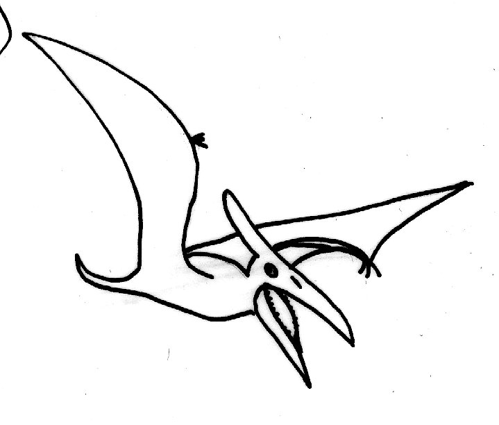Coloriage dinosaures 1
