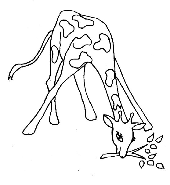 Coloriage girafe qui mange
