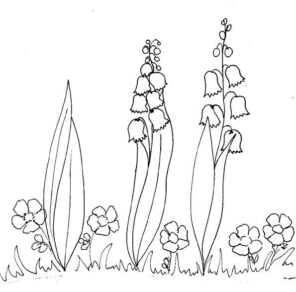 Coloriage de branches de muguet