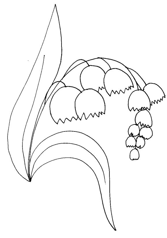 Brin de muguet &agrave; colorier