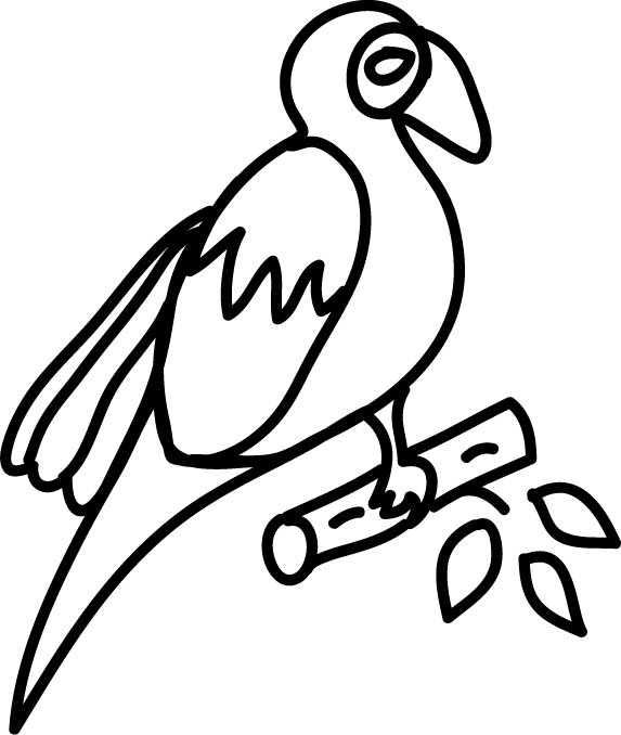 coloriage du perroquet sur branchette 

