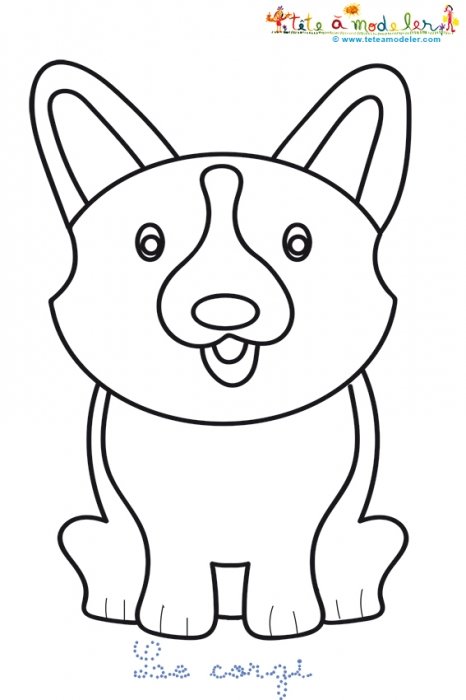 Coloriage d'un corgi, le petit chien anglais