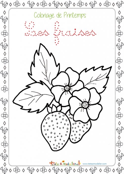 Un coloriage de fraises du printemps